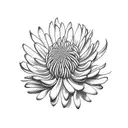 Chrysanthemum tattoo design idea