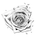 long stem rose and snake tattoo design idea