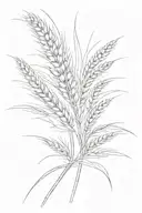 2 wheat  tattoo design idea