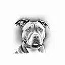 Staffordshire Bull Terrier  tattoo design idea