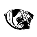 a pug in a spiked collar tattoo design idea