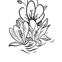  bouquet of a lily and a chamomile tattoo design idea