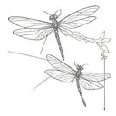 in omnia paratus cursive with fine line dragonfly  tattoo design idea