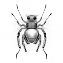 jumping spider tattoo design idea