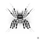 jumping spider tattoo design idea