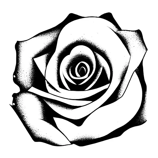 rose that grew from concrete tattoo design idea