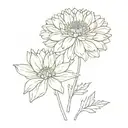  chrysanthemum Daisy carnation  flower names Ashley Andrea and Alexis  tattoo design idea