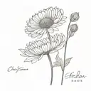  chrysanthemum Daisy carnation  flower names Ashley Andrea and Alexis  tattoo design idea