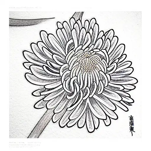 Chrysanthemum tattoo design idea