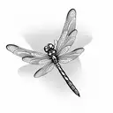 dragonfly but the wings spell out TEAM tattoo design idea