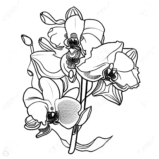orchid scholar healer tattoo design idea