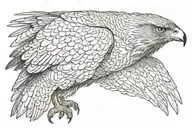 hawk tattoo design idea