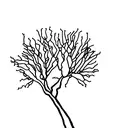 joshua tree tattoo design idea