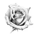 Realistic rose tattoo design idea