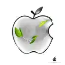 apple in front of tree  tattoo design idea