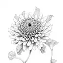 Chrysanthemum tattoo design idea