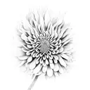 Chrysanthemum tattoo design idea