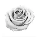 Flower tattoo design idea