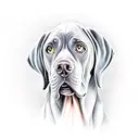 Weimaraner tattoo design idea