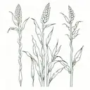 corn fields confetti tattoo design idea