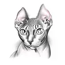 sphynx cat  tattoo design idea