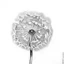 Dandelion tattoo design idea