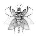 mantis religiosa llevando un gorro pirata tattoo design idea