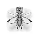 mantis religiosa llevando un gorro pirata tattoo design idea