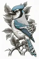 bluejay with date 02/01/71 tattoo design idea