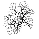 hawthorn tree tattoo design idea
