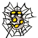 hunter hunter spider  tattoo design idea