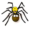 hunter hunter spider  tattoo design idea