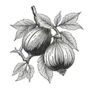 fig fruit and branch tattoo design idea