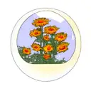 moon and calendulas  tattoo design idea