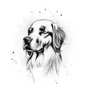 irish setter  tattoo design idea