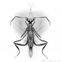 praying mantis tattoo design idea