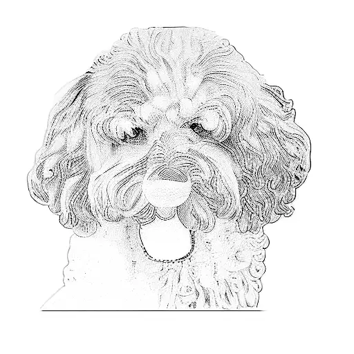 a poodle tattoo design idea