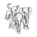 3 elephants, with the number 7  tattoo design idea