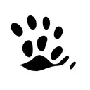 Dog Paw outline  tattoo design idea