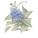 monarch butterfly with a sage sprig on a blue hydrangea tattoo design idea