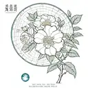 Uranus, latitude and longitude of Shenyang City, camellia tattoo design idea