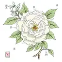 Uranus, latitude and longitude of Shenyang City, camellia tattoo design idea