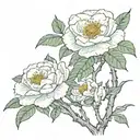 Uranus, latitude and longitude of Shenyang City, camellia tattoo design idea