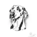 great Dane paw Pring with the name Brady fading inside the print tattoo design idea