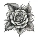 the five Sola's tattoo design idea