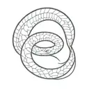 A minimalist tattoo of a sleeping snake tattoo design idea