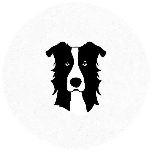perro border collie  tattoo design idea