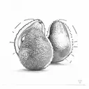 4 avocados together. 1 big one, 1 slightly smaller, 1 medium and a small one tattoo design idea