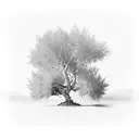 ash tree at the bottom turning into olive tree at the top tattoo design idea