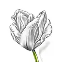 tulip with name Paloma and a bee tattoo design idea